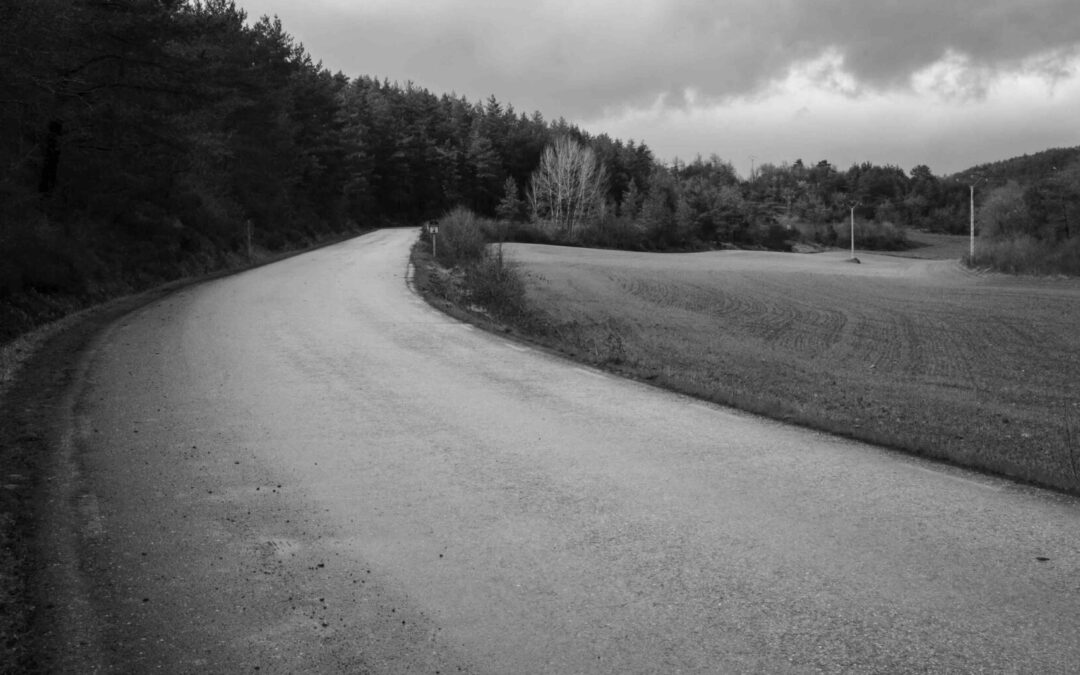Landscape as Memory: an exhibition in Burgos brings to light Franco-era mass graves yet to be exhumed