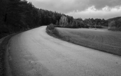 Landscape as Memory: an exhibition in Burgos brings to light Franco-era mass graves yet to be exhumed